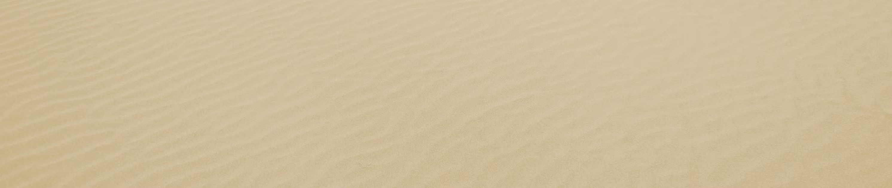 sandy beach